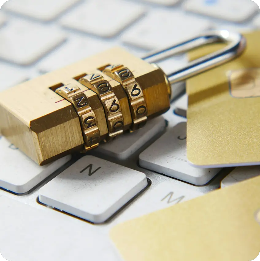 Password wallet security